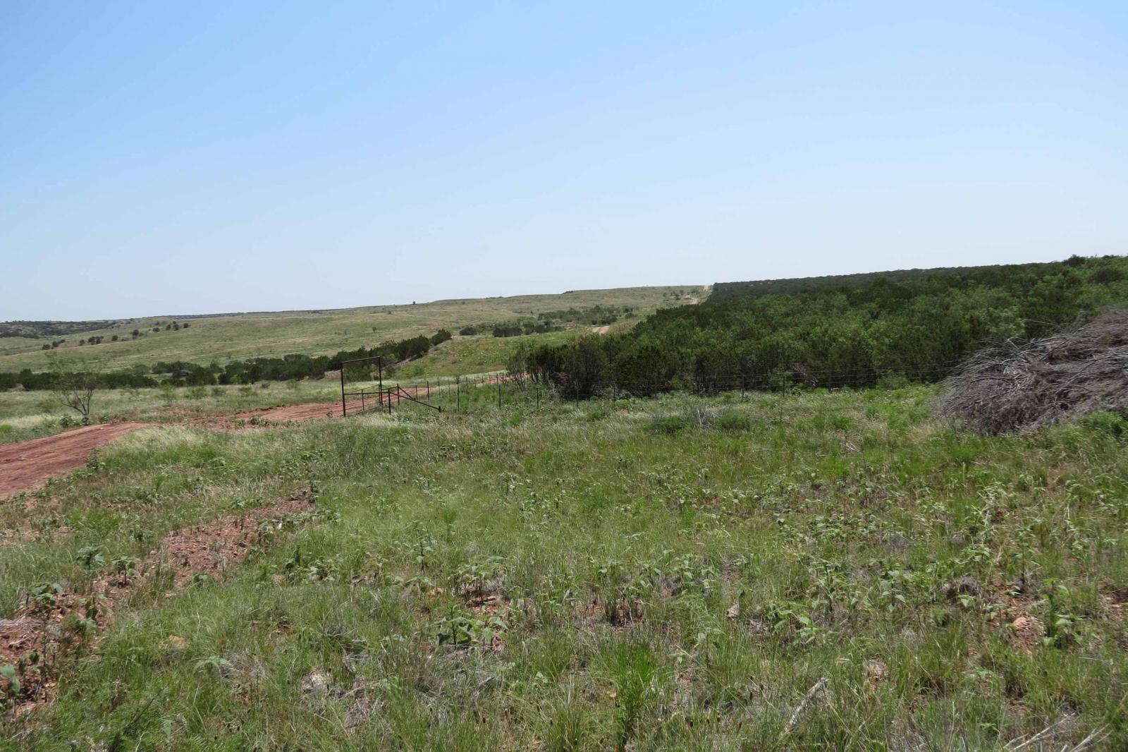 Covered S Ranch | Chas S. Middleton