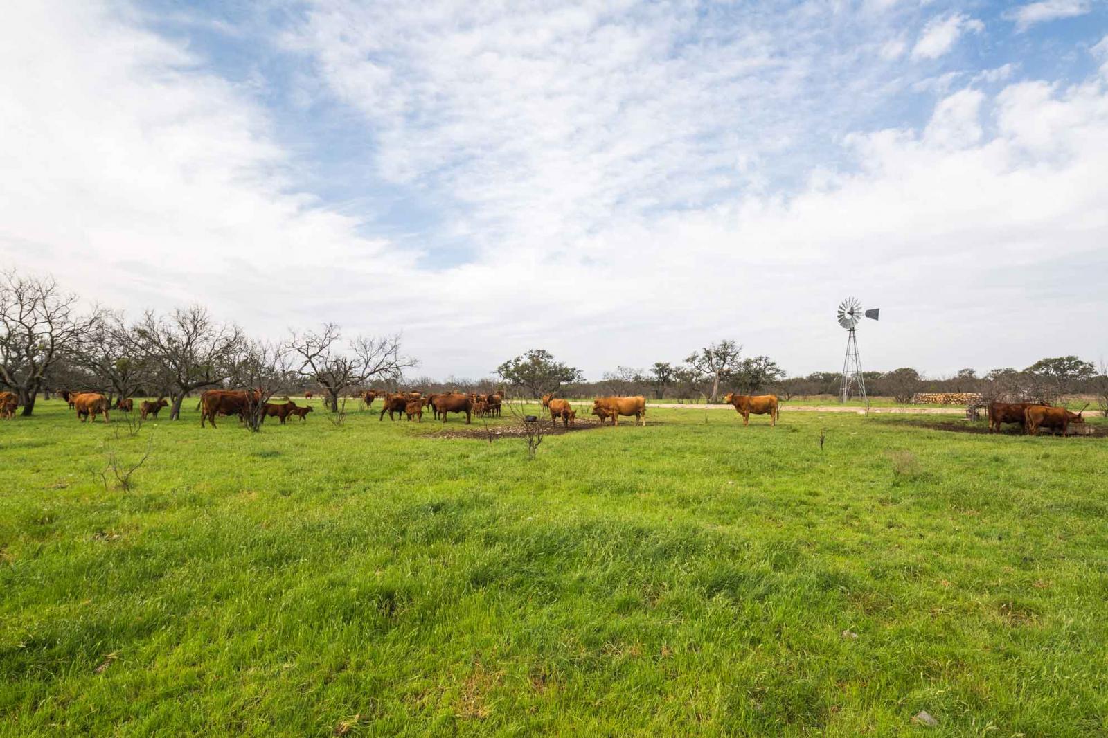 Ford Ranch Chas S. Middleton