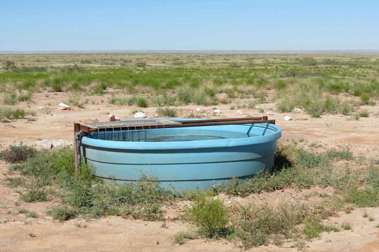 Peterson Ranch Chas S. Middleton