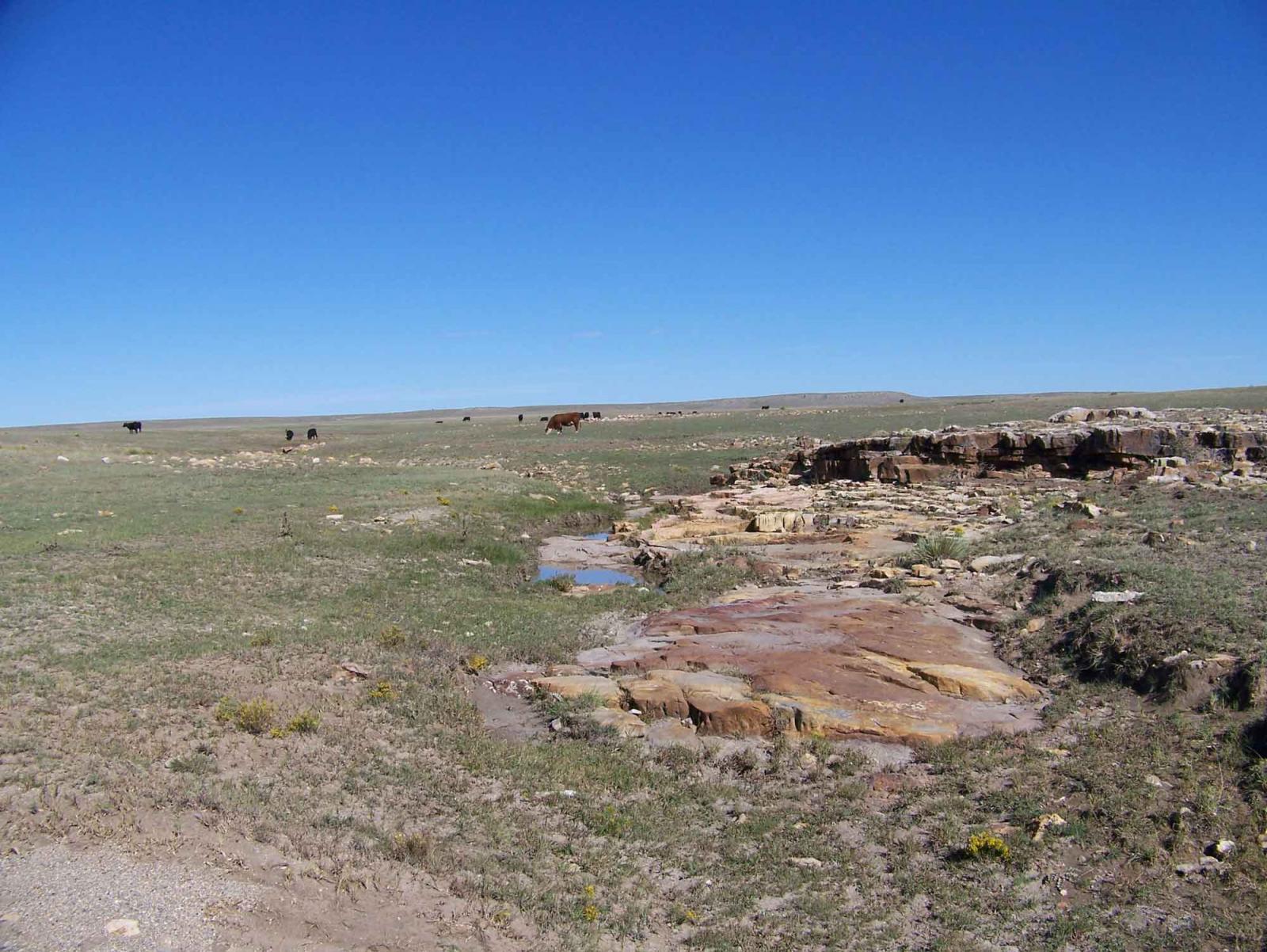 Red River Ranch Chas S. Middleton