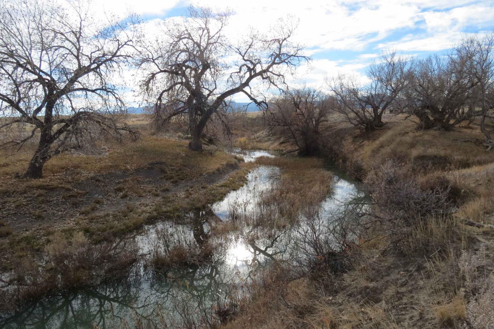 Acme Trinchera Creek Ranch | Chas S. Middleton