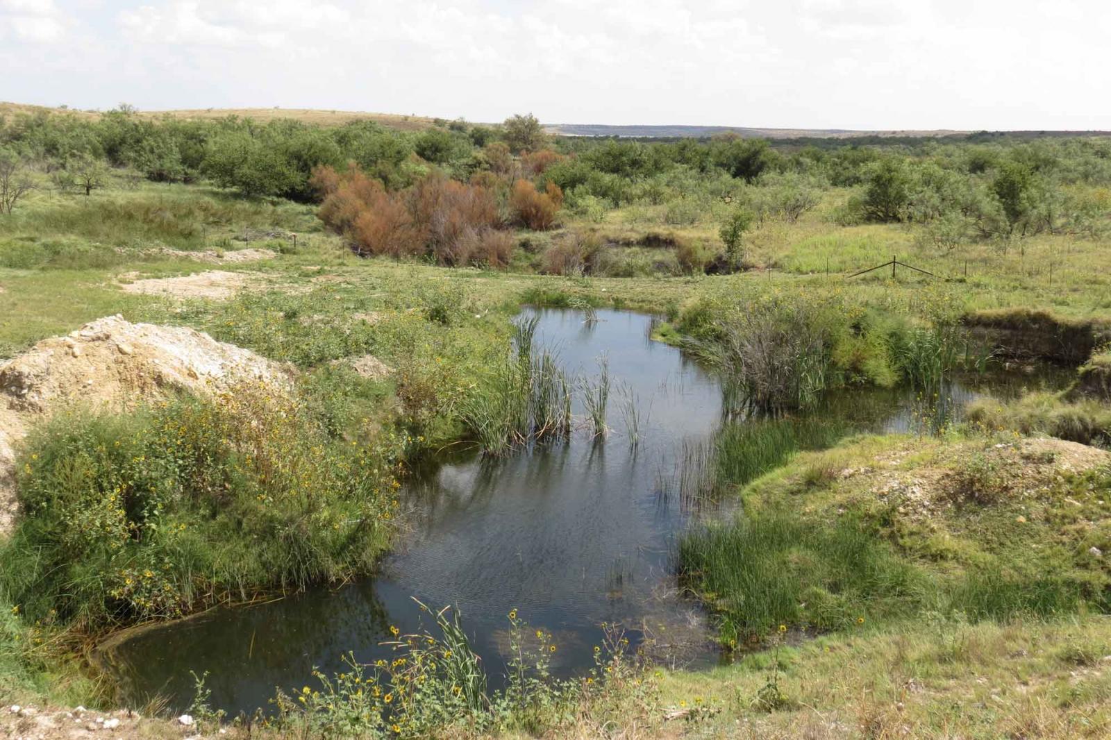 Alcorn Tahoka Lake Ranch Chas S. Middleton
