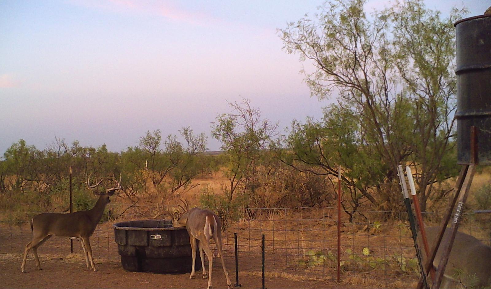 Walker Ranch Chas S. Middleton
