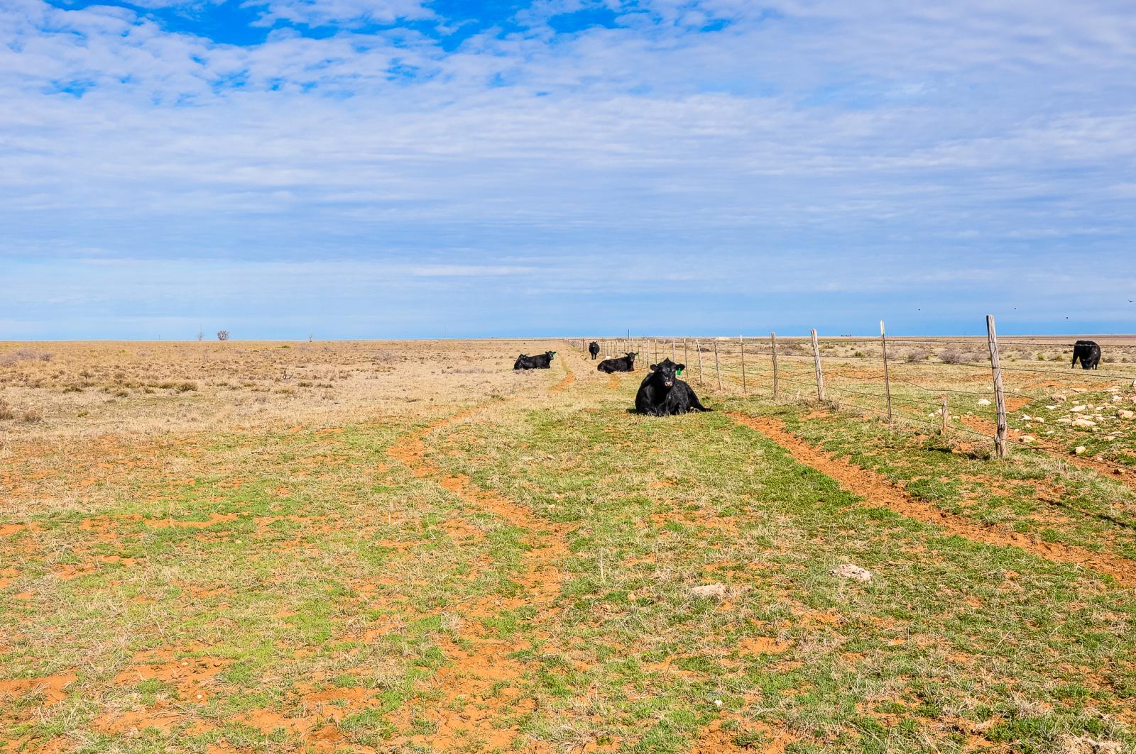 Wilson Ranch Chas S. Middleton
