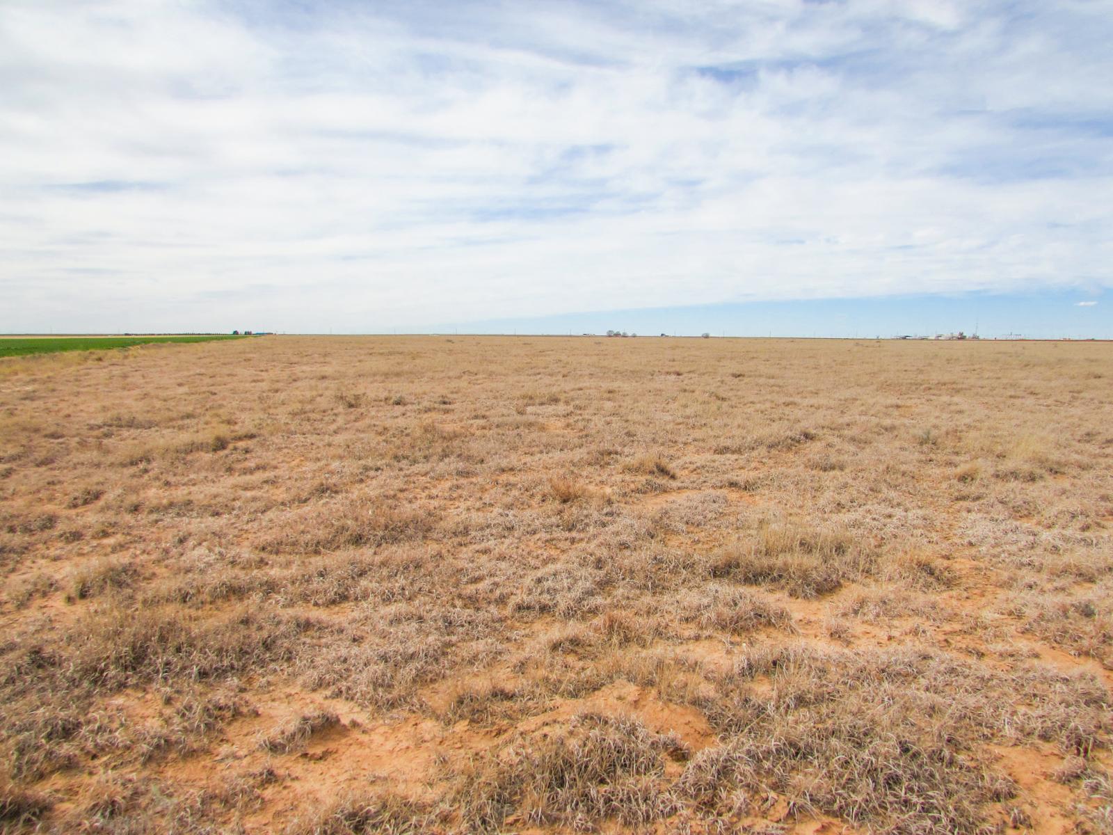 Farm Chas S. Middleton