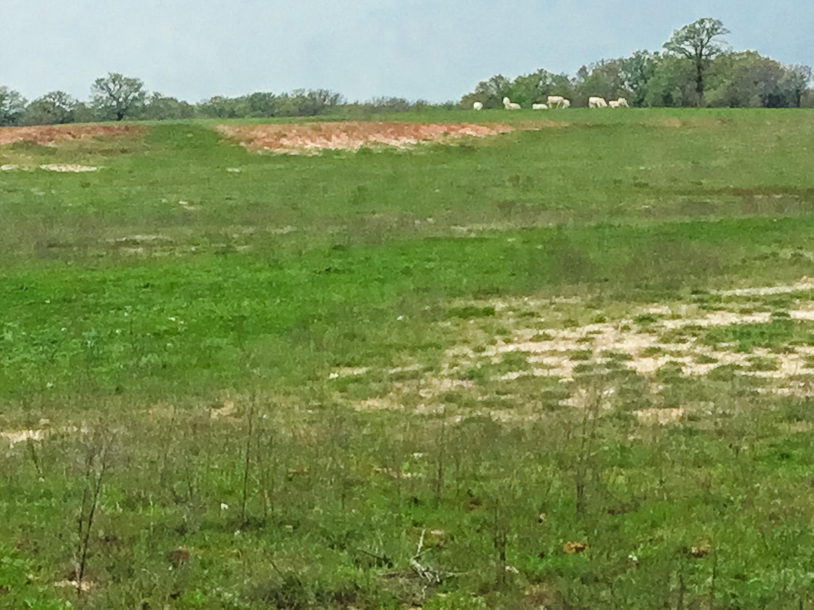 Paradise Acres Chas S. Middleton