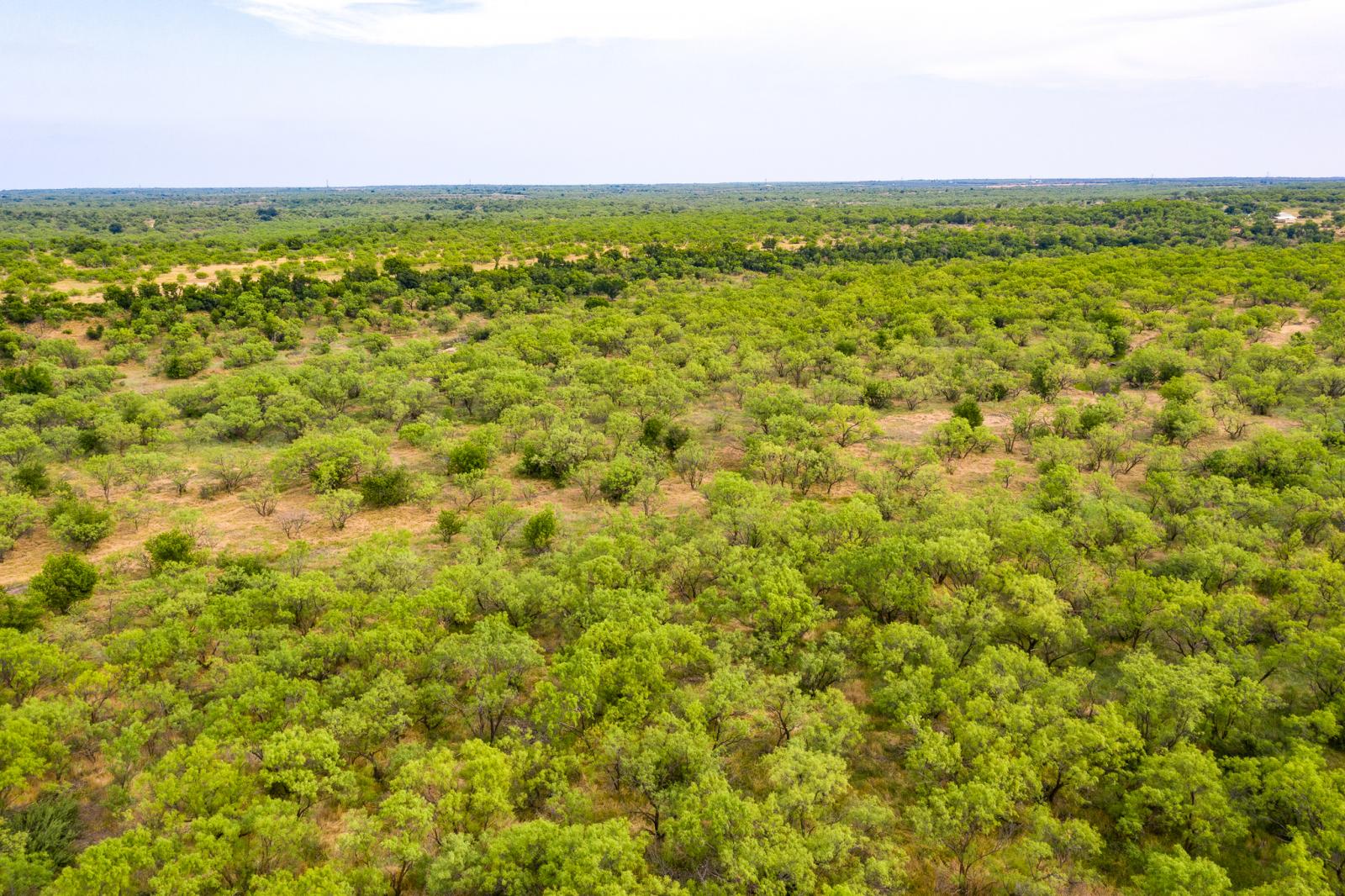 Belcher Ranch Chas S. Middleton