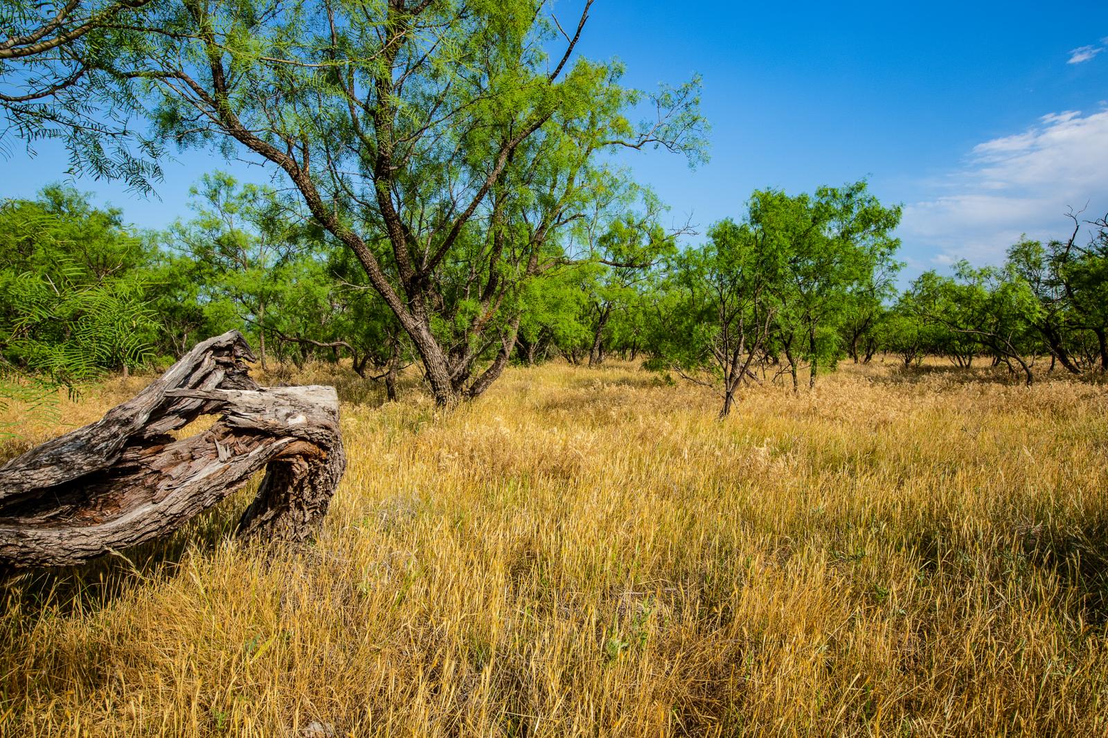 Belcher Ranch Chas S. Middleton