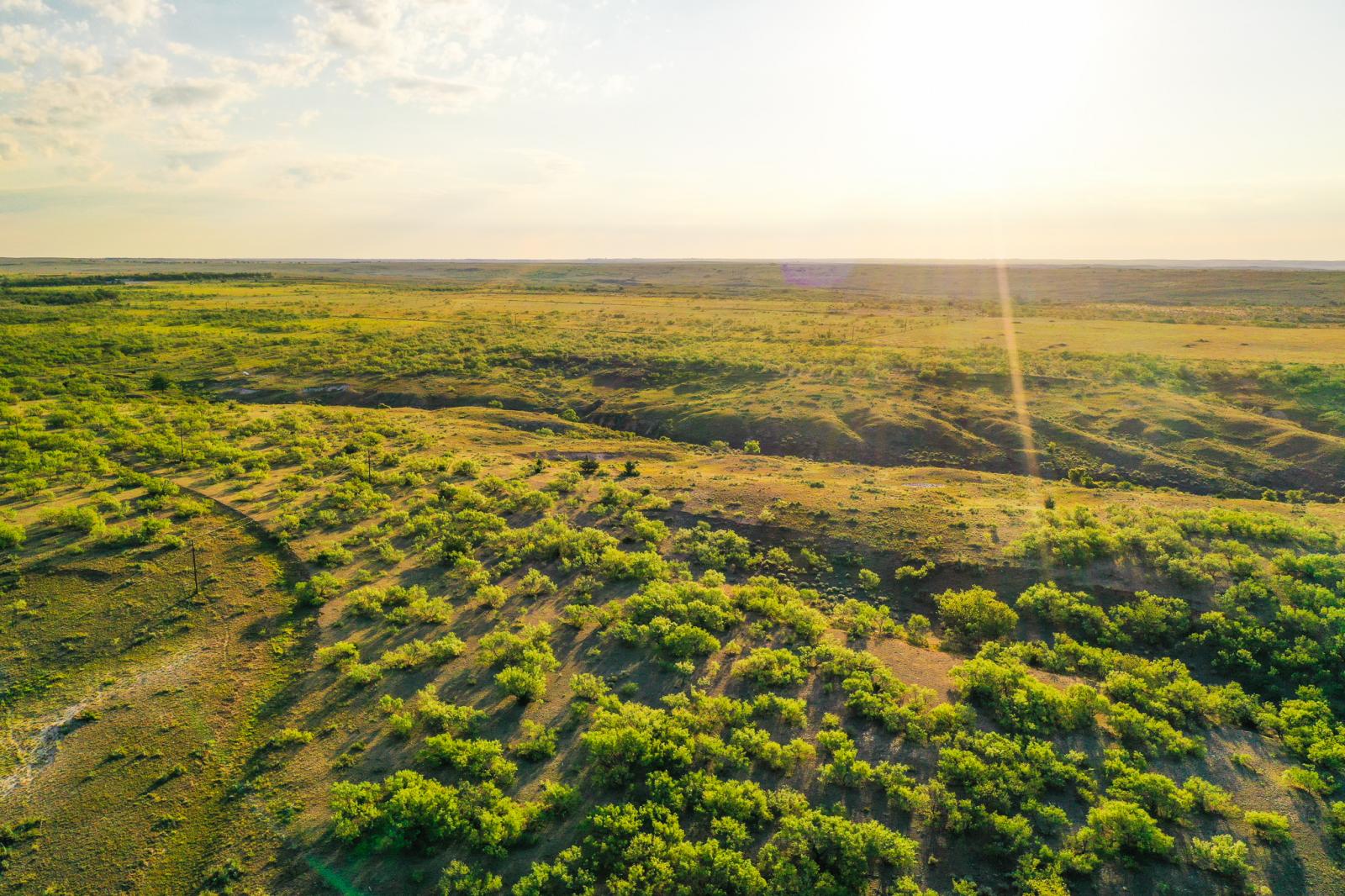 Diamond A Ranch Chas S. Middleton