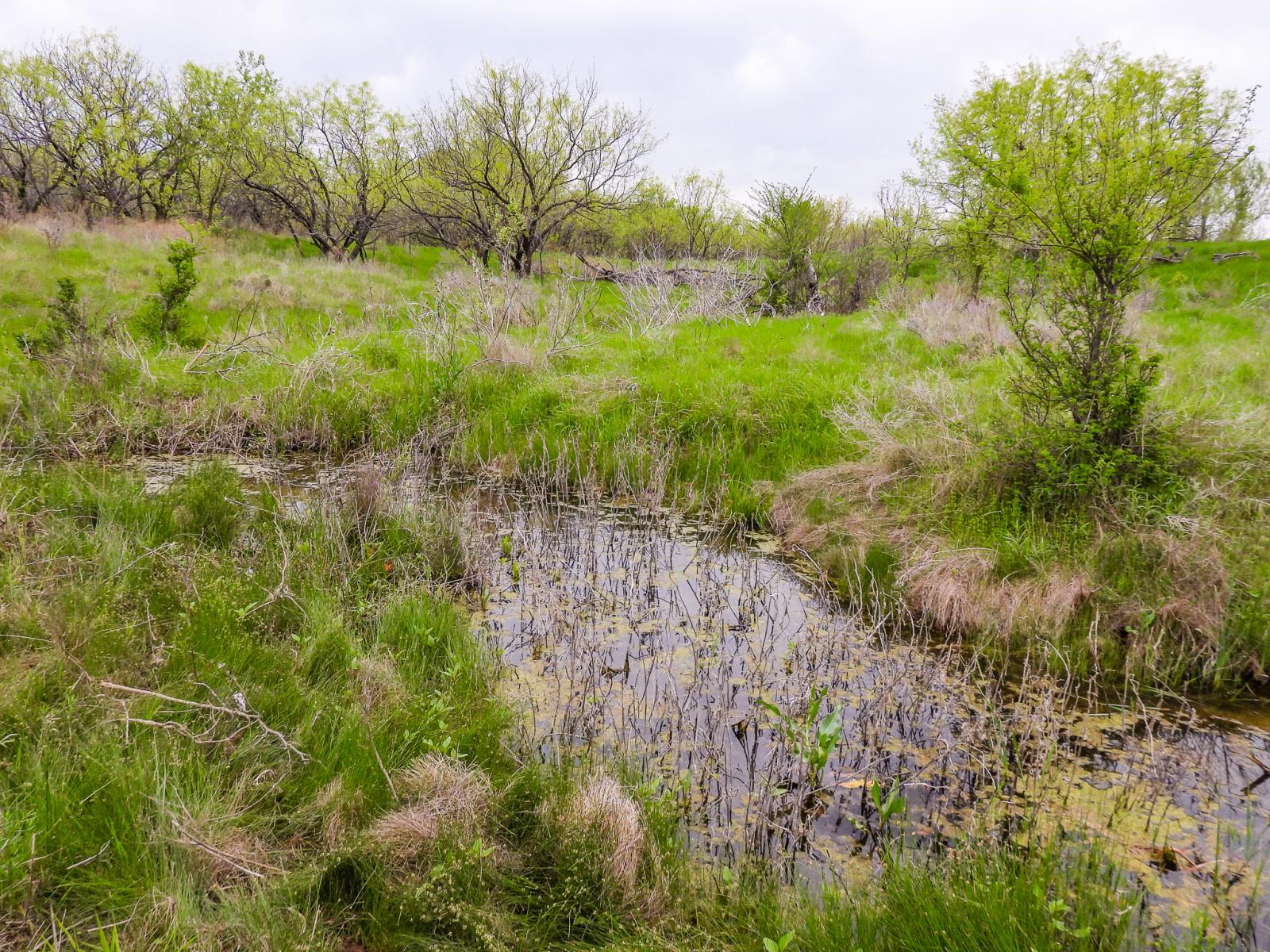 Clark Ranch | Chas S. Middleton