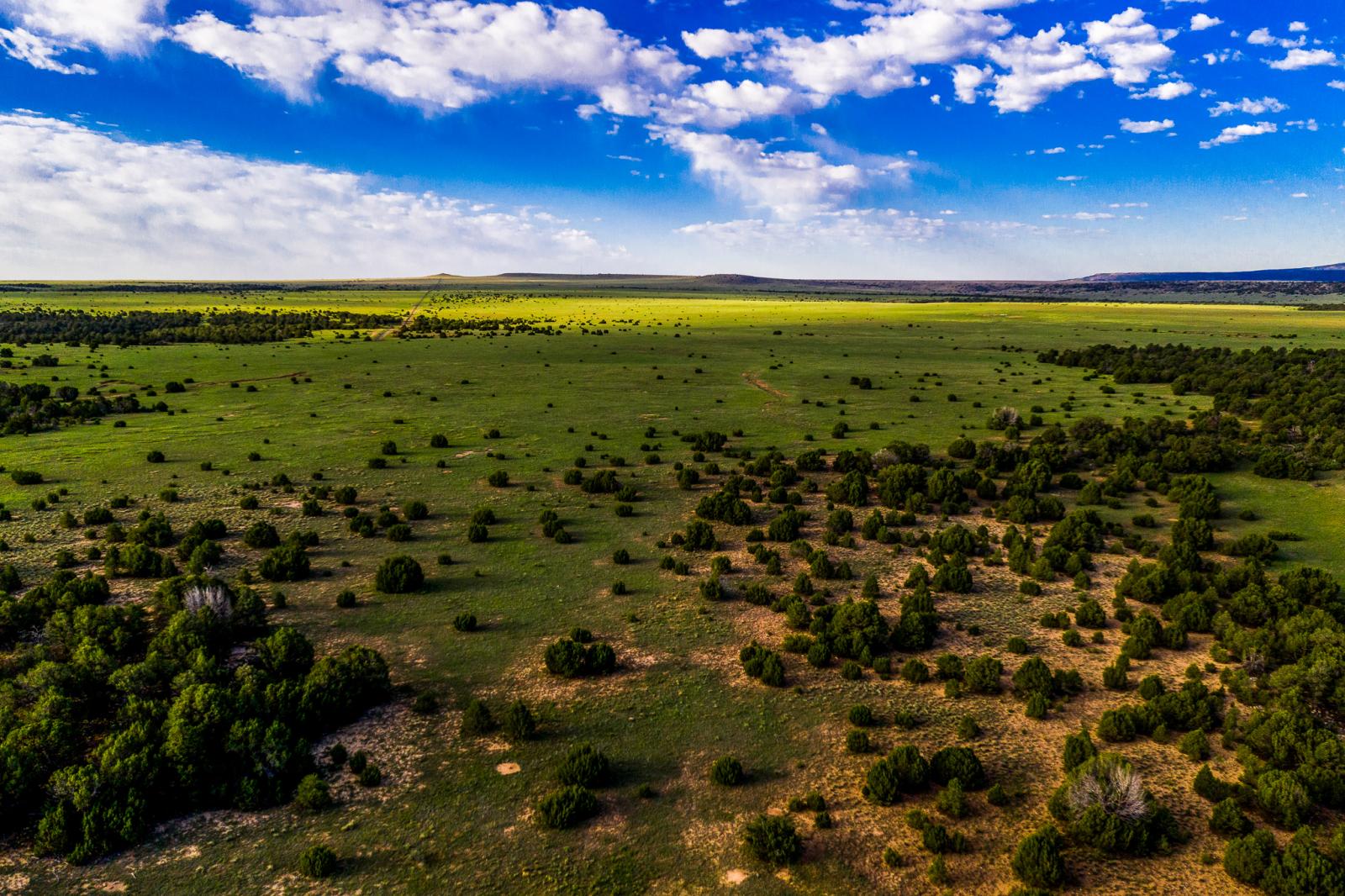 Valdez Pasture Ranch Chas S. Middleton
