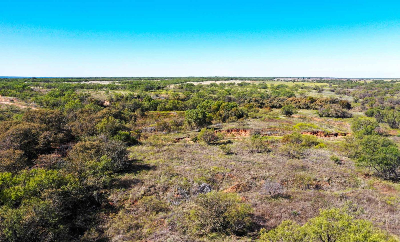 Brazos Bend Ranch Chas S. Middleton