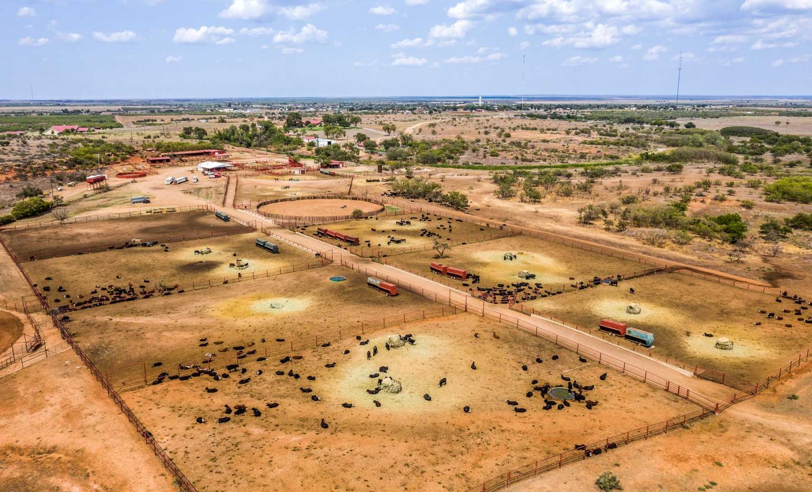 Matador Ranch Chas S. Middleton