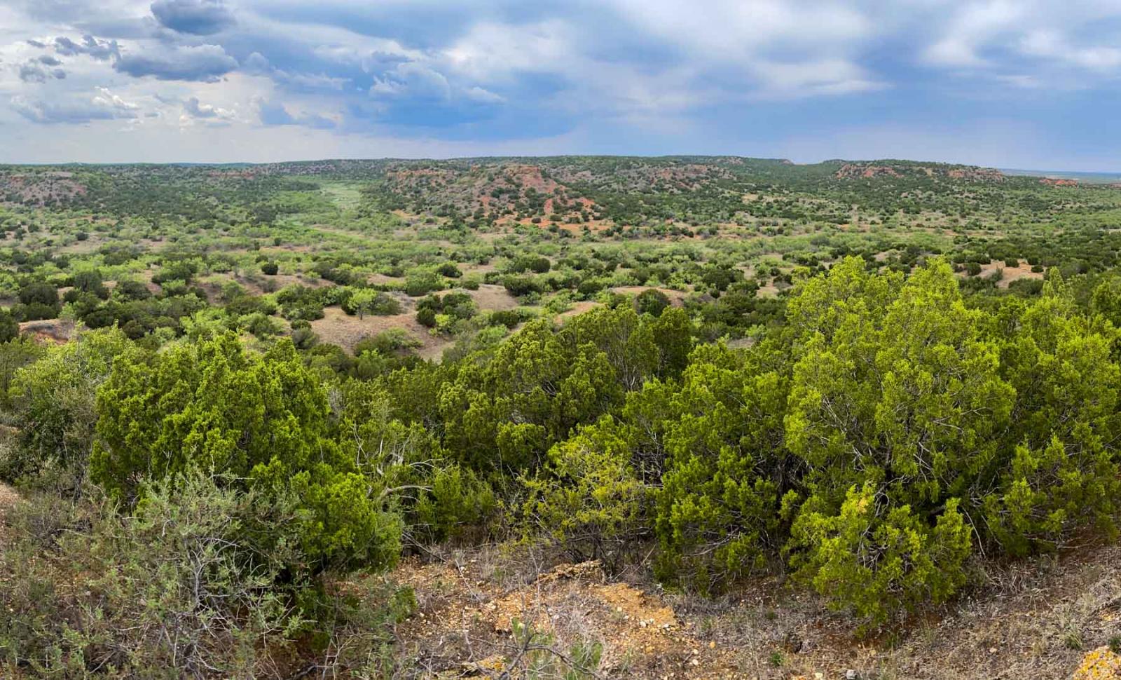 Matador Ranch Chas S. Middleton