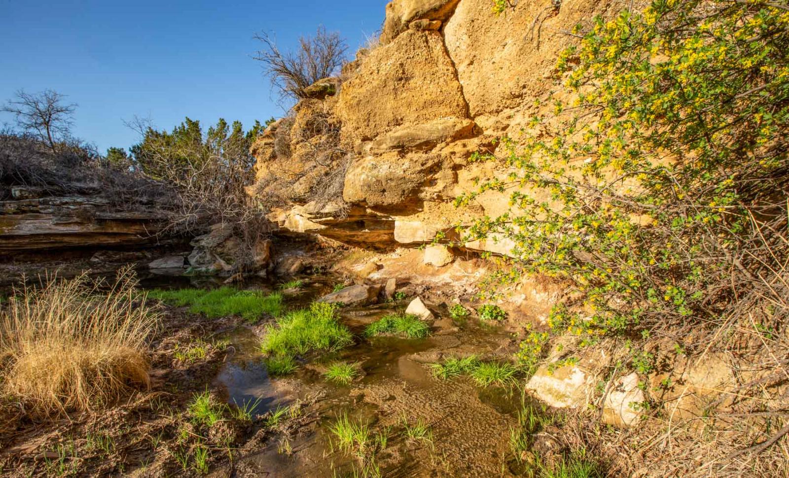 Matador Ranch Chas S. Middleton