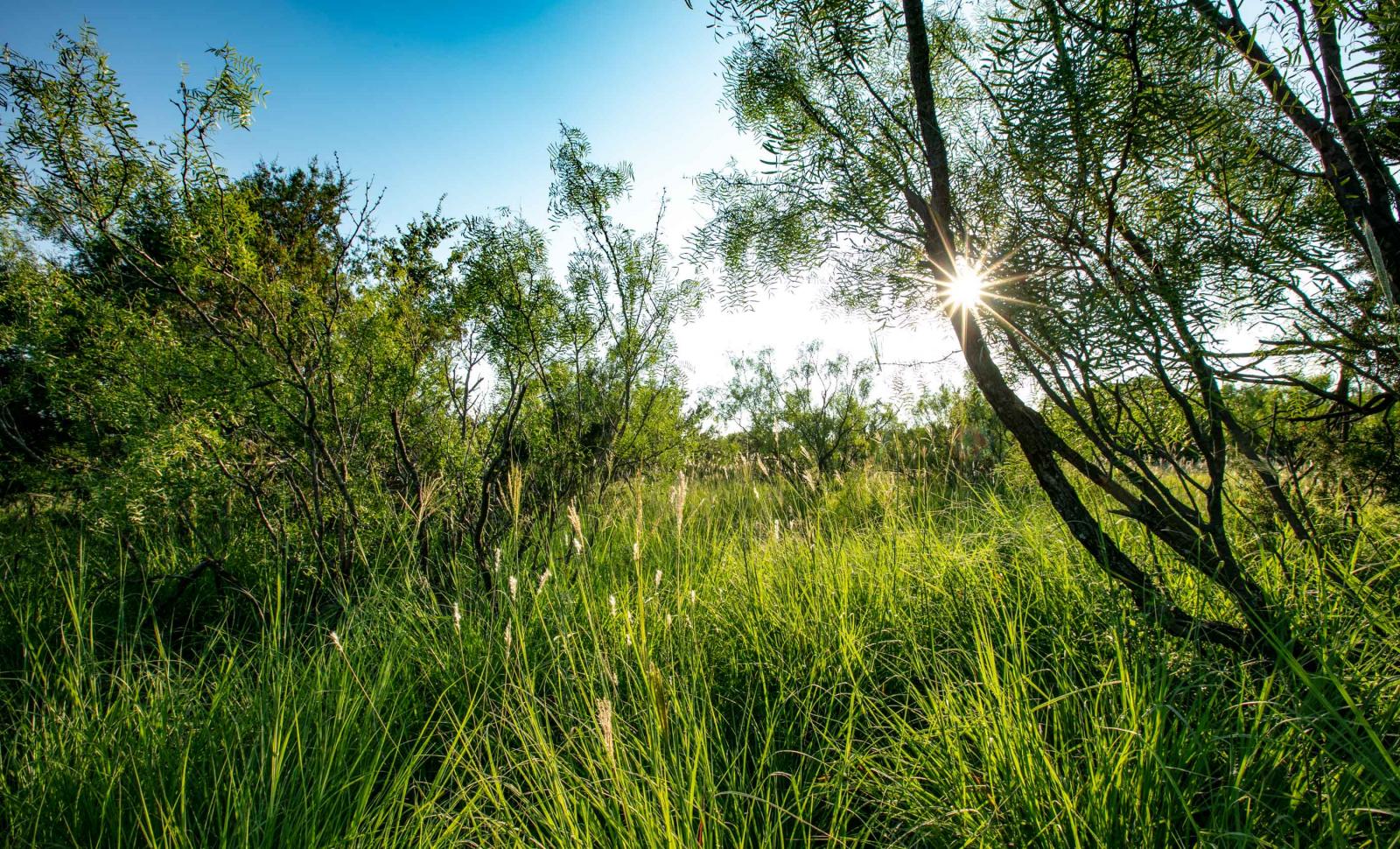 Quail Flats Ranch Chas S. Middleton