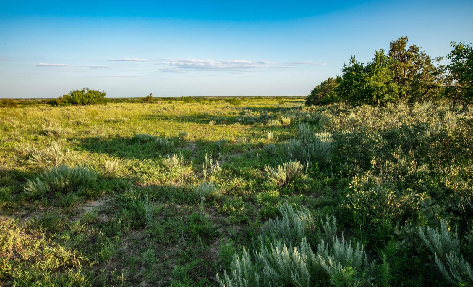 Quail Flats Ranch Chas S. Middleton