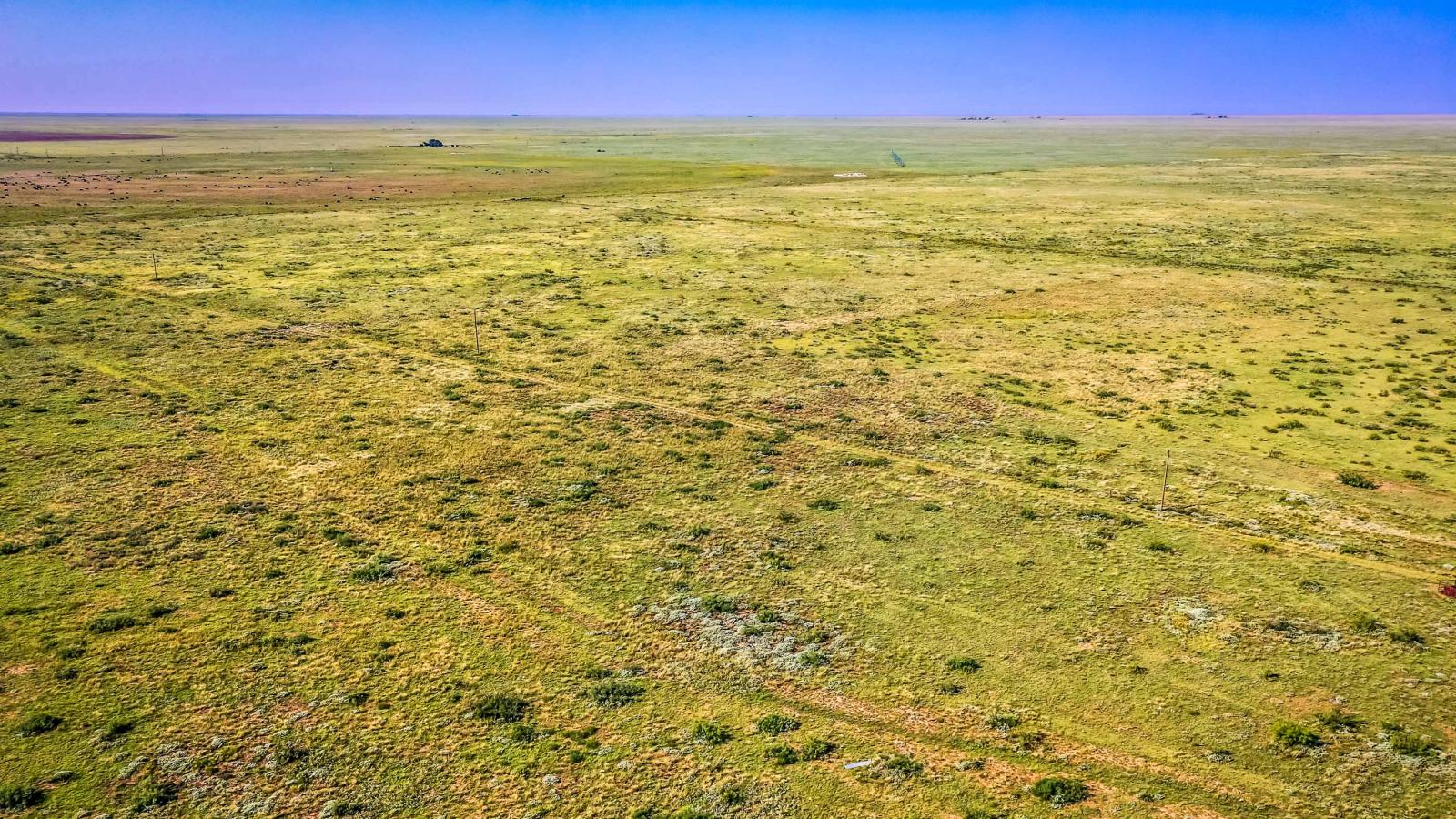 McNeill Ranch - Tatum Farm | Chas S. Middleton