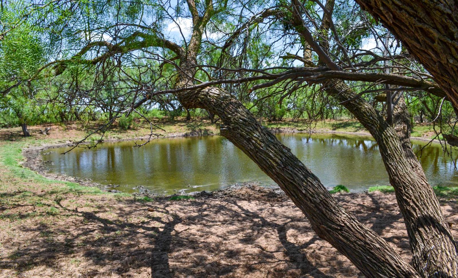 Davis Kent County Ranch Chas S. Middleton