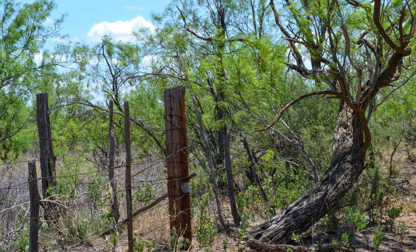 Davis Kent County Ranch Chas S. Middleton