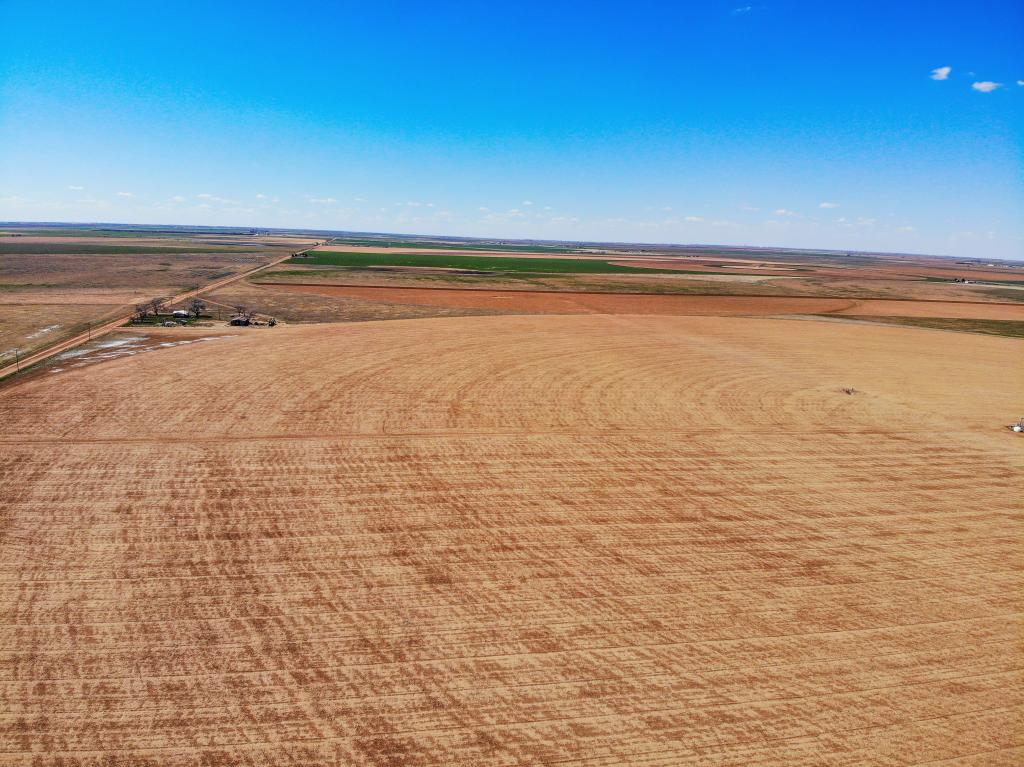 Mayfield Farm Chas S. Middleton