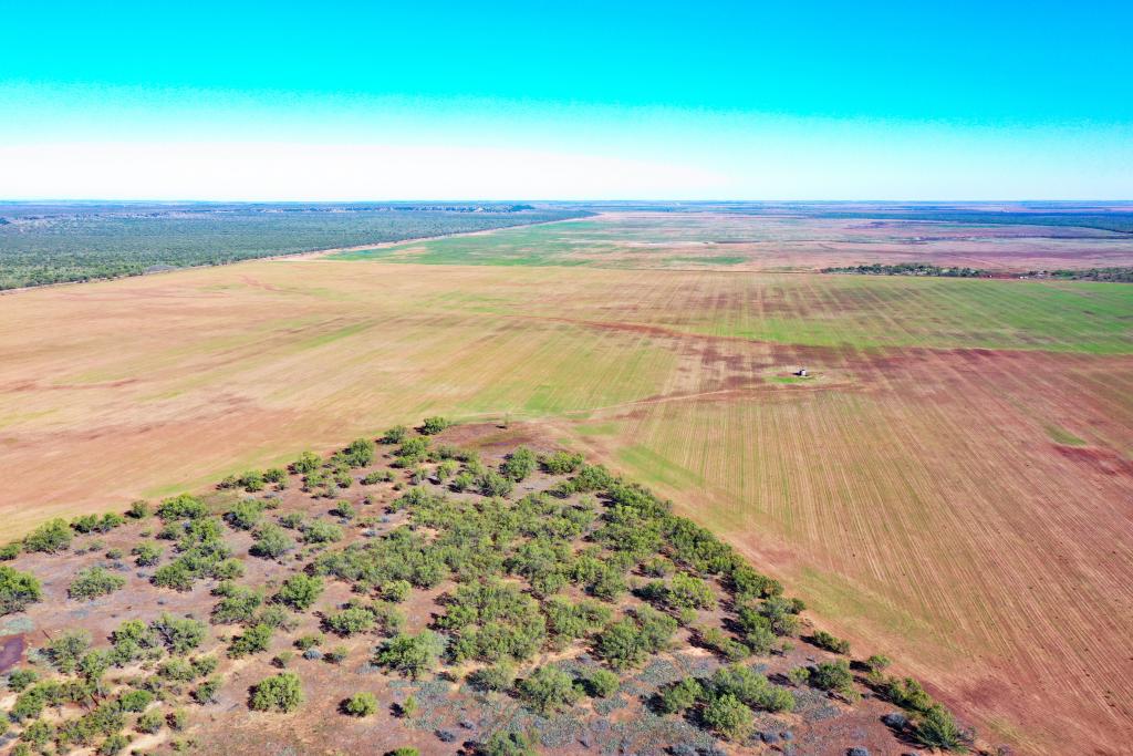 Swenson Family Flat Top Ranch Chas S Middleton