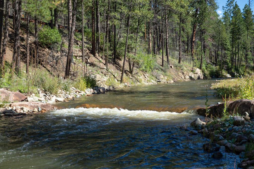 Timberland Ranch & Fishing Property Chas S. Middleton