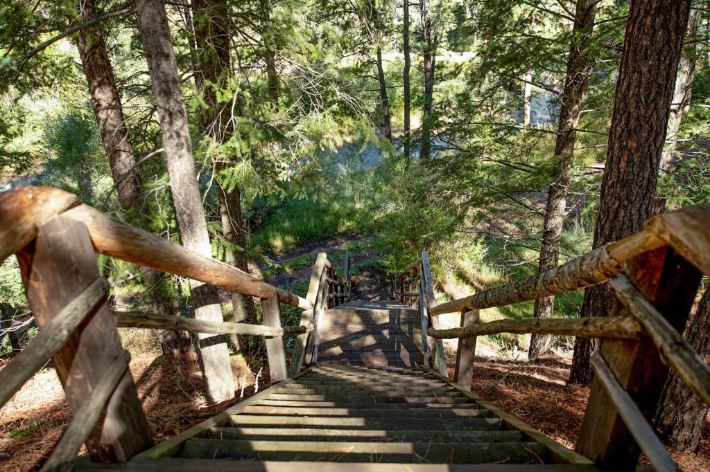 Timberland Ranch & Fishing Property Chas S. Middleton