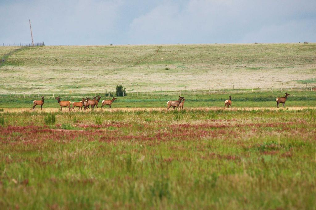 Wallace Ranch Chas S. Middleton