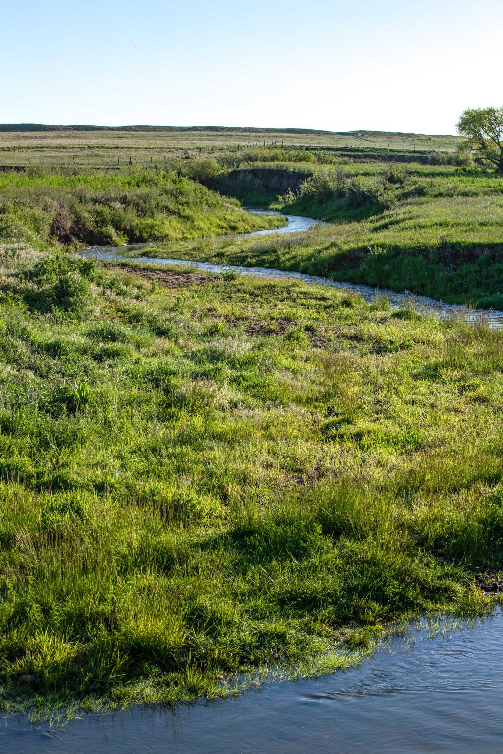 Wallace Ranch Chas S. Middleton