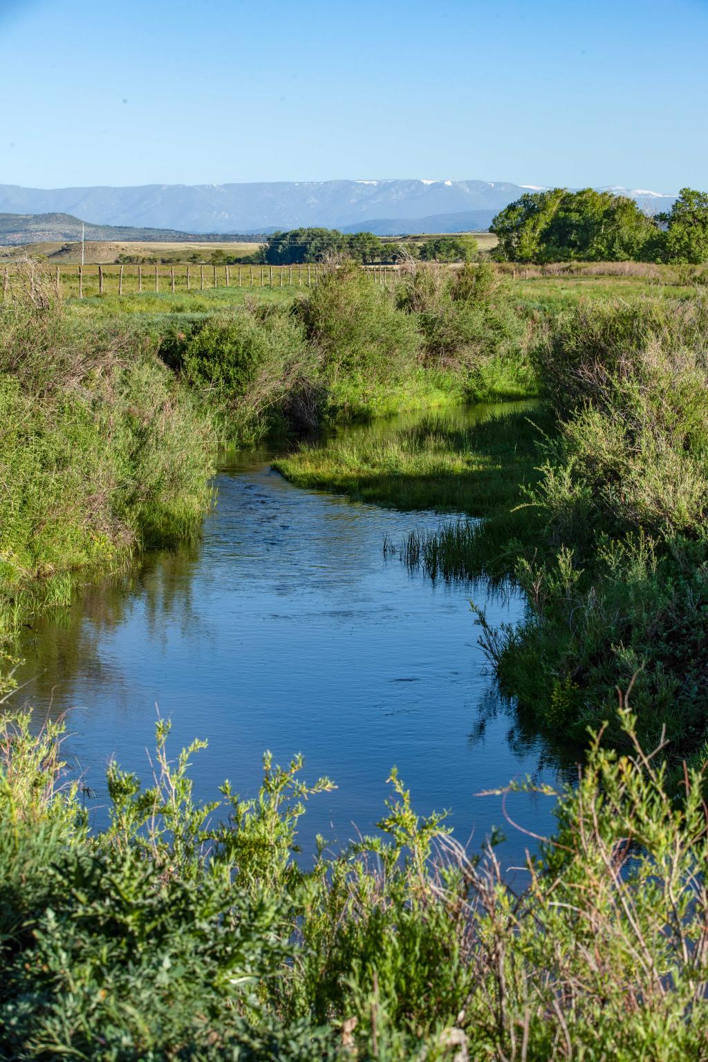Wallace Ranch Chas S. Middleton