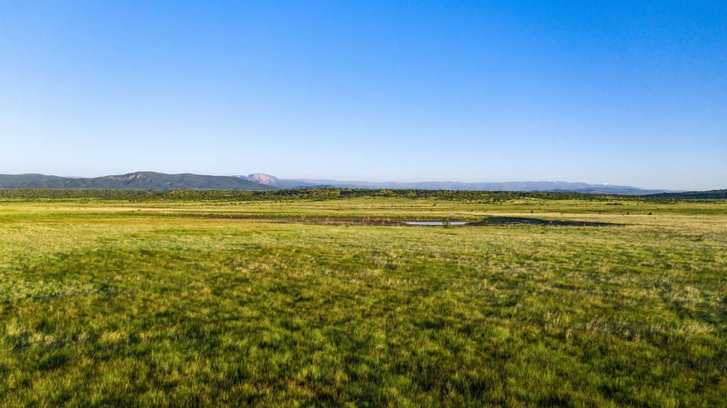 Wallace Ranch Chas S. Middleton