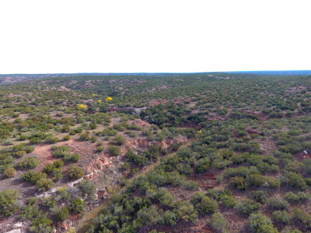 Smith Ranch Chas S. Middleton