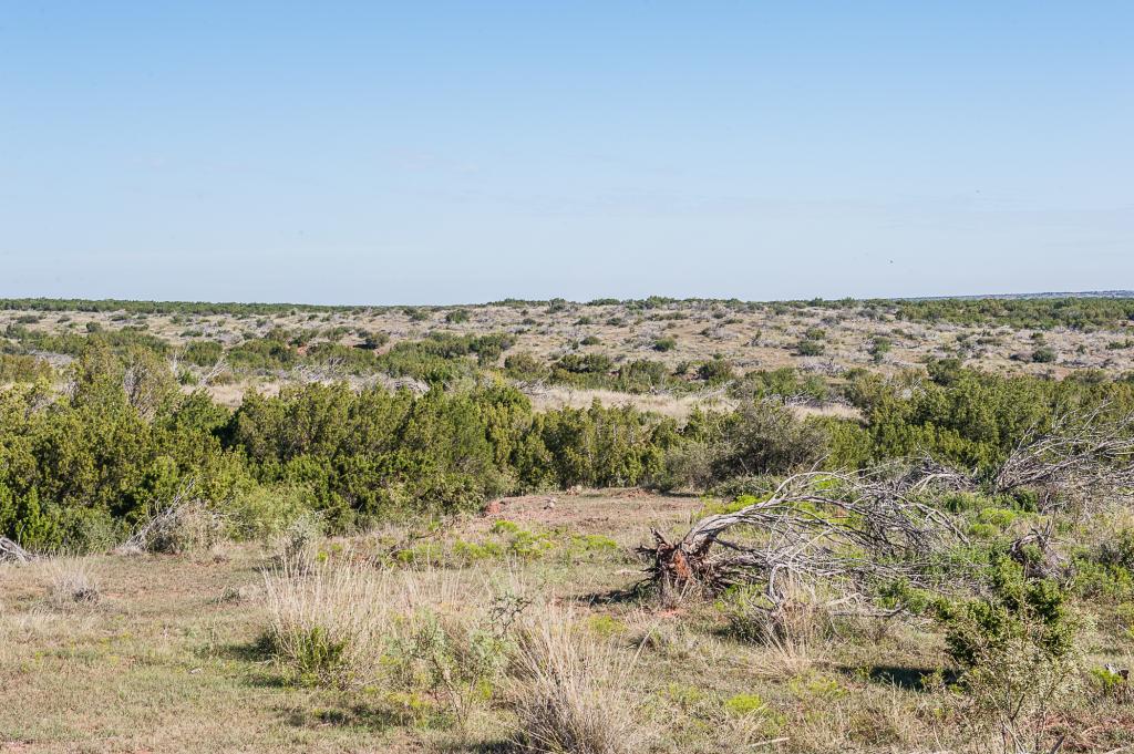 Smith Ranch Chas S. Middleton
