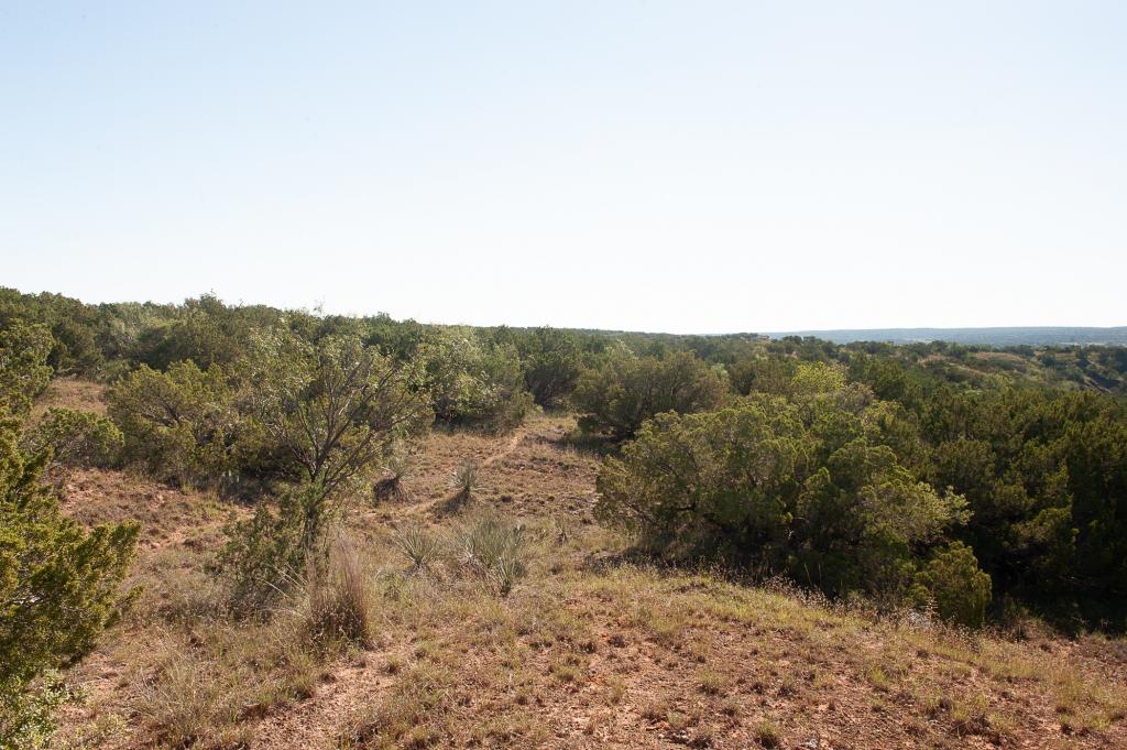 Smith Ranch Chas S. Middleton