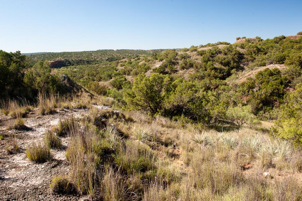 Smith Ranch Chas S. Middleton