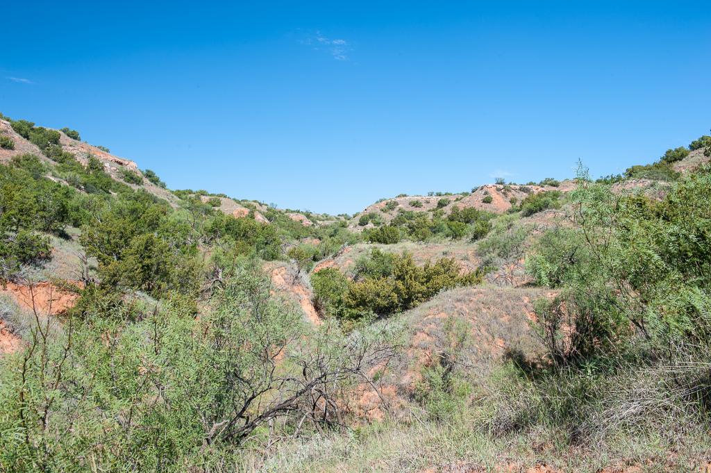 Smith Ranch Chas S. Middleton