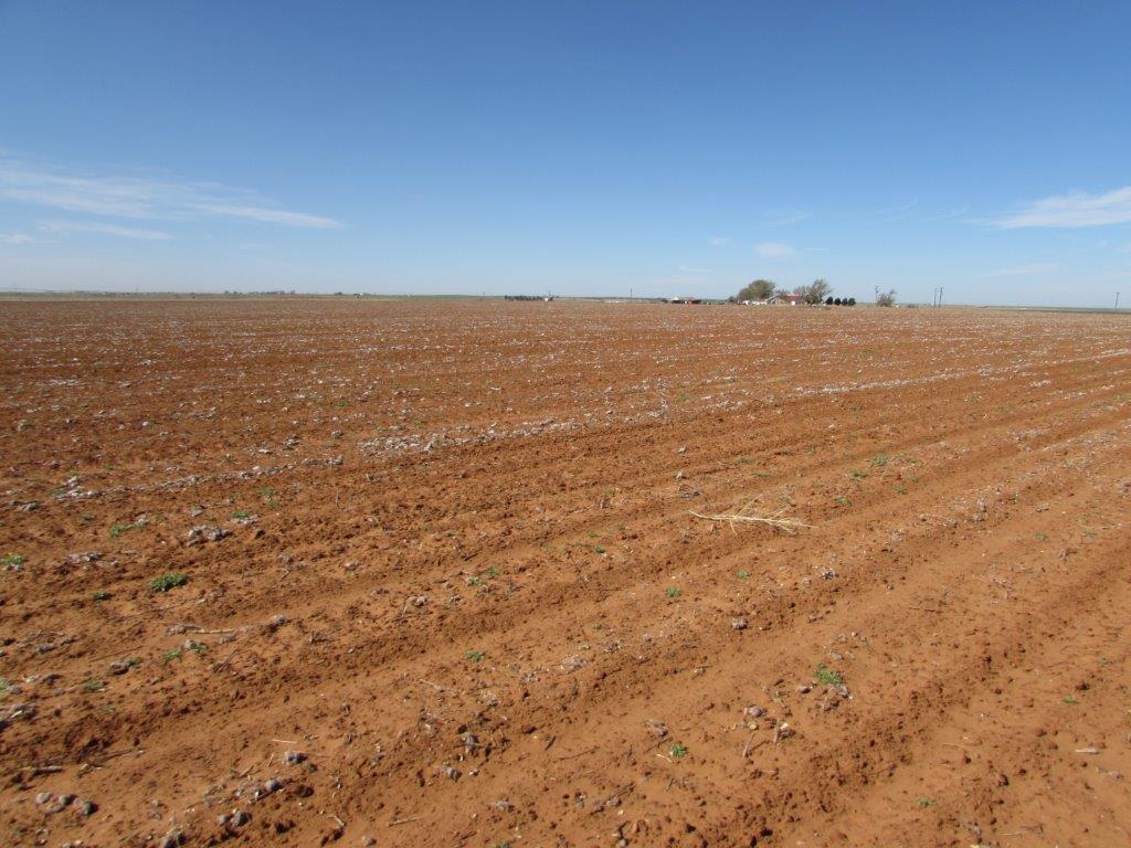 Granger Farm Chas S. Middleton