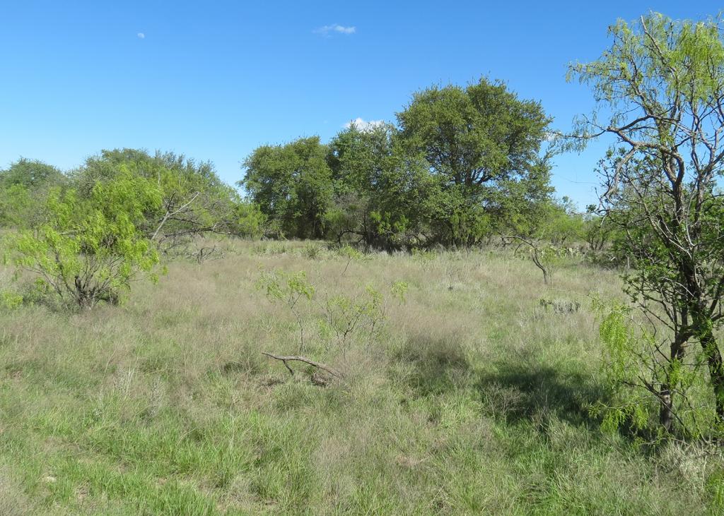 Snyder Family Ranches Seales Pasture Chas S. Middleton