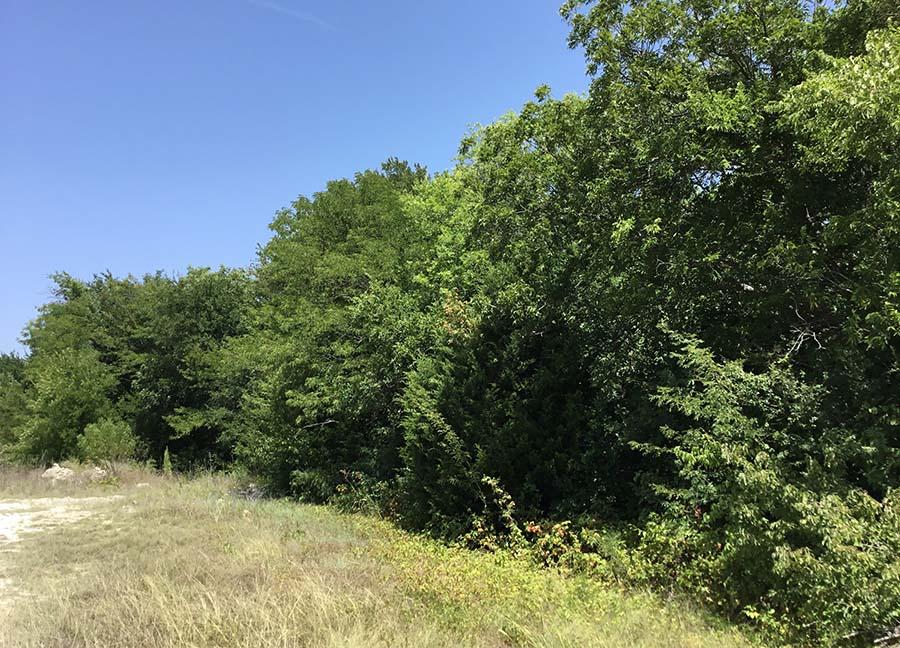 Oak Creek Ranch Chas S. Middleton