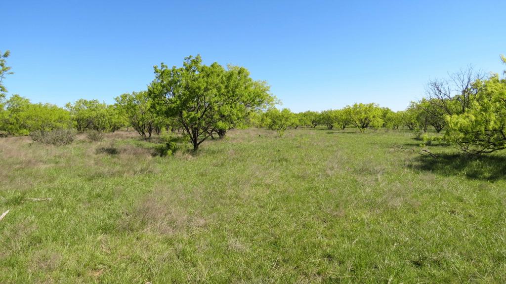 Hubbard Creek Ranch Chas S. Middleton