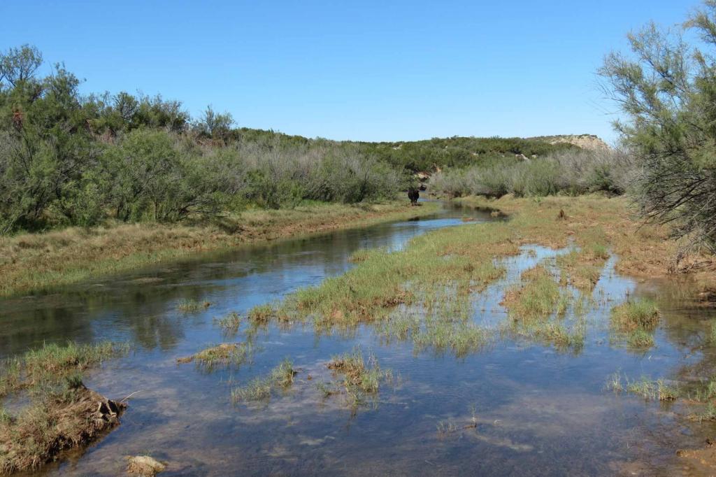 Bateman Wichita River Ranch | Chas S. Middleton