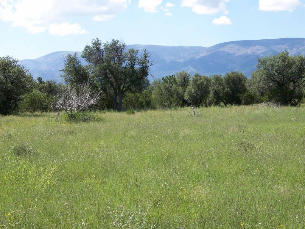 Block Ranch Chas S. Middleton