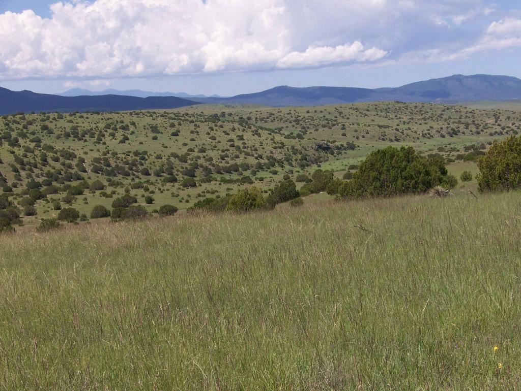 Block Ranch Chas S. Middleton
