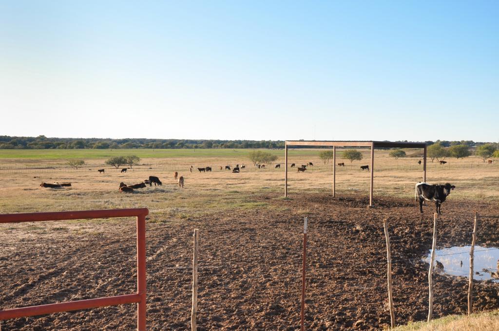 Waurika Preconditioning Yard Chas S Middleton