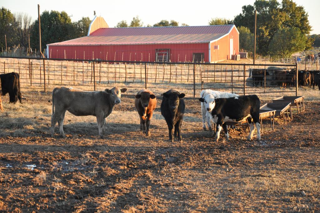 Waurika Preconditioning Yard Chas S Middleton