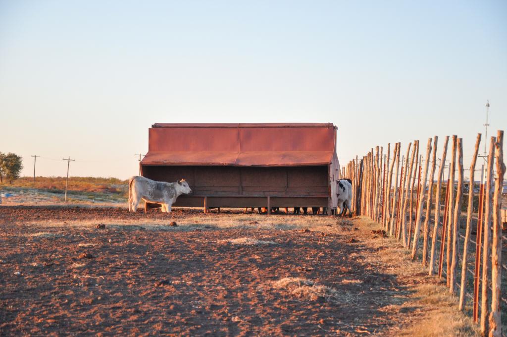 Waurika Preconditioning Yard Chas S Middleton