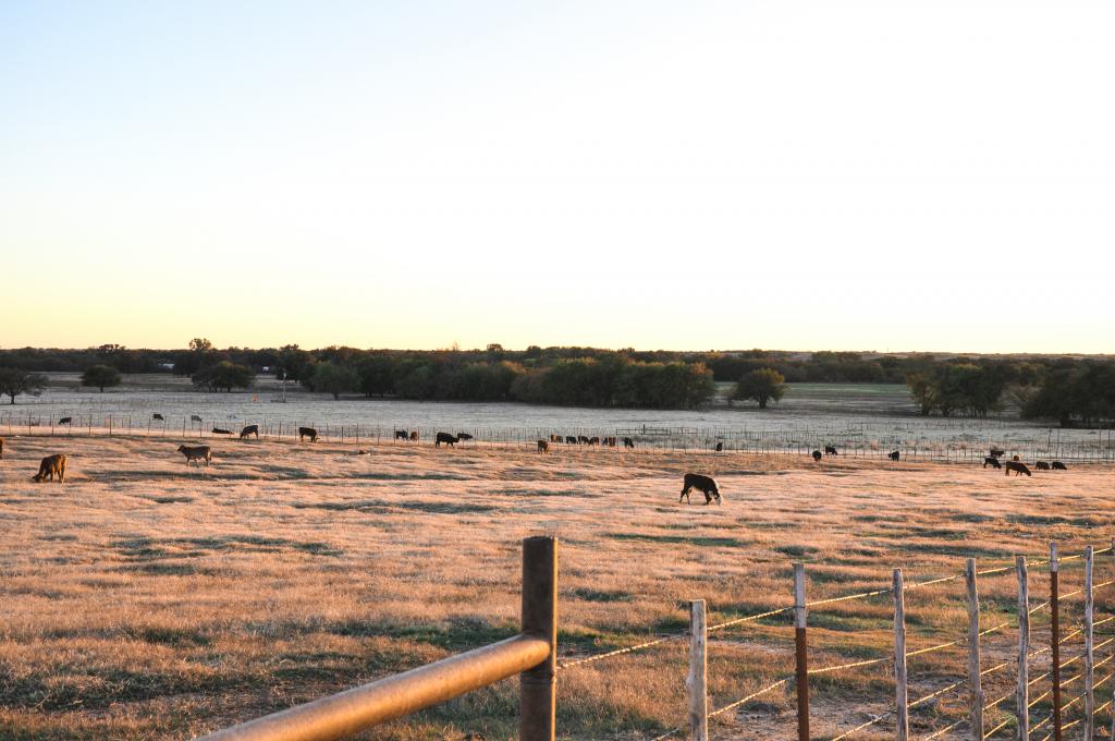 Waurika Preconditioning Yard Chas S Middleton