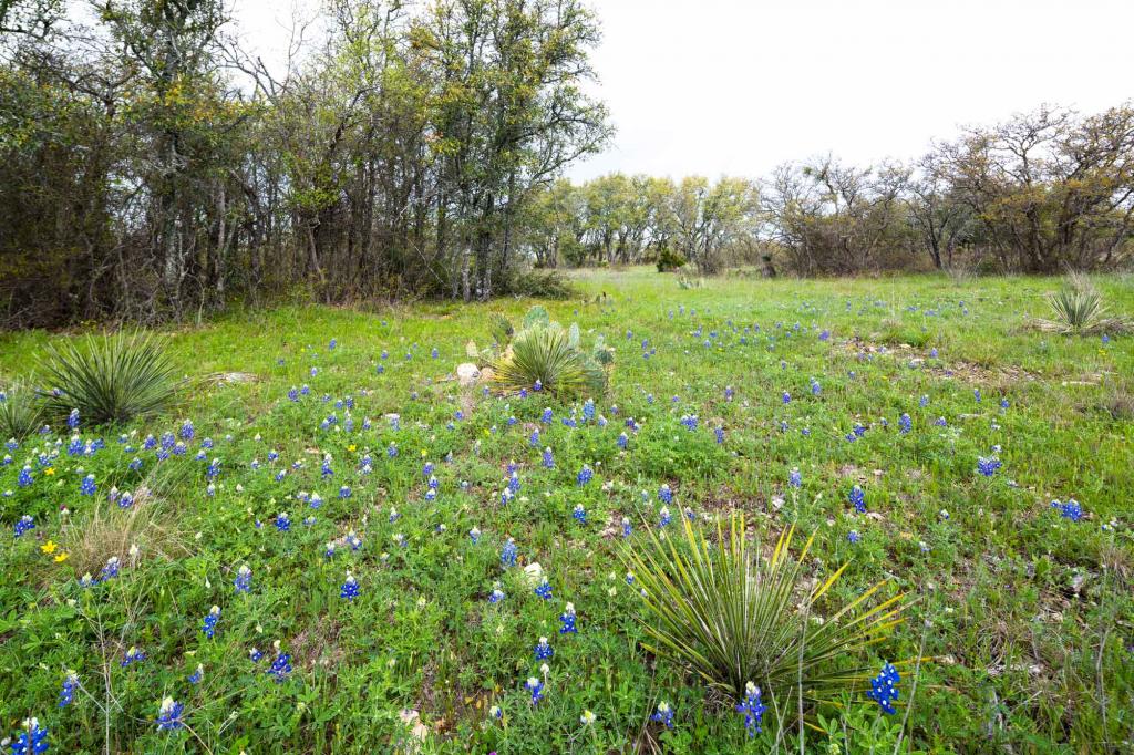 Ford Ranch Chas S. Middleton