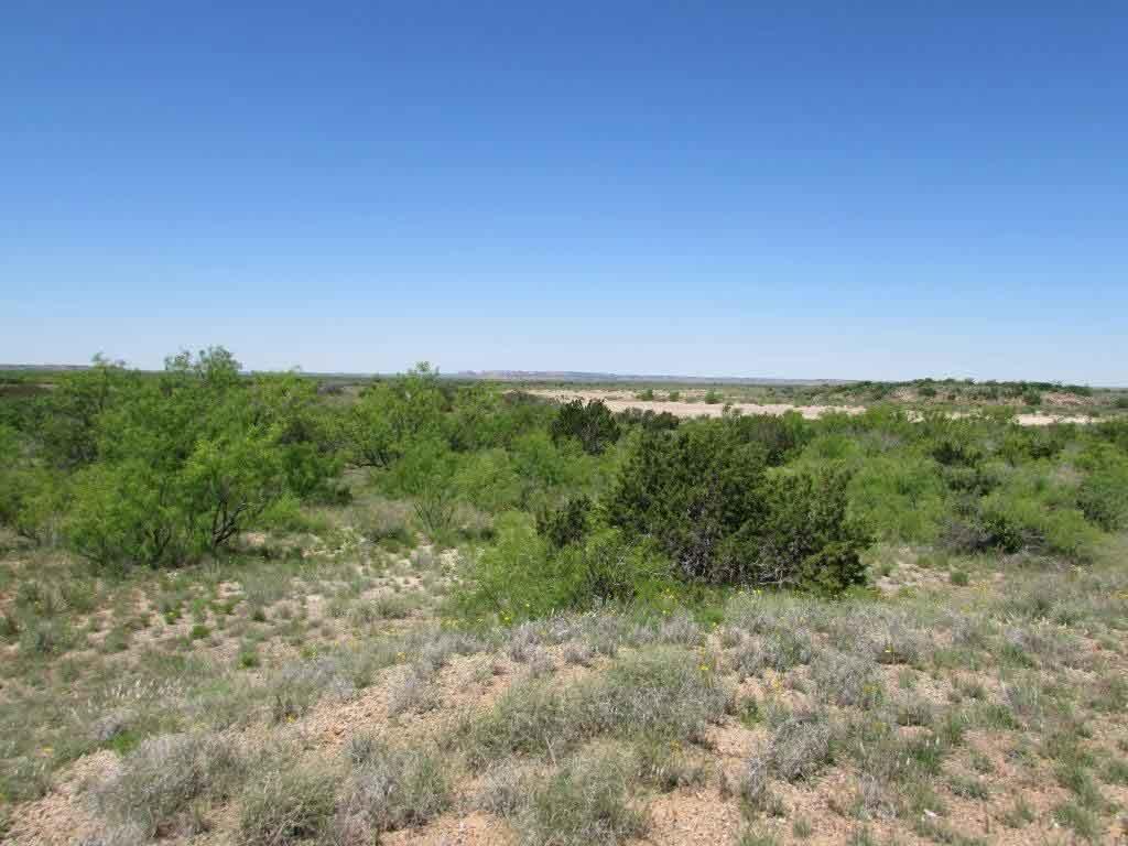 Crump Ranch Chas S. Middleton